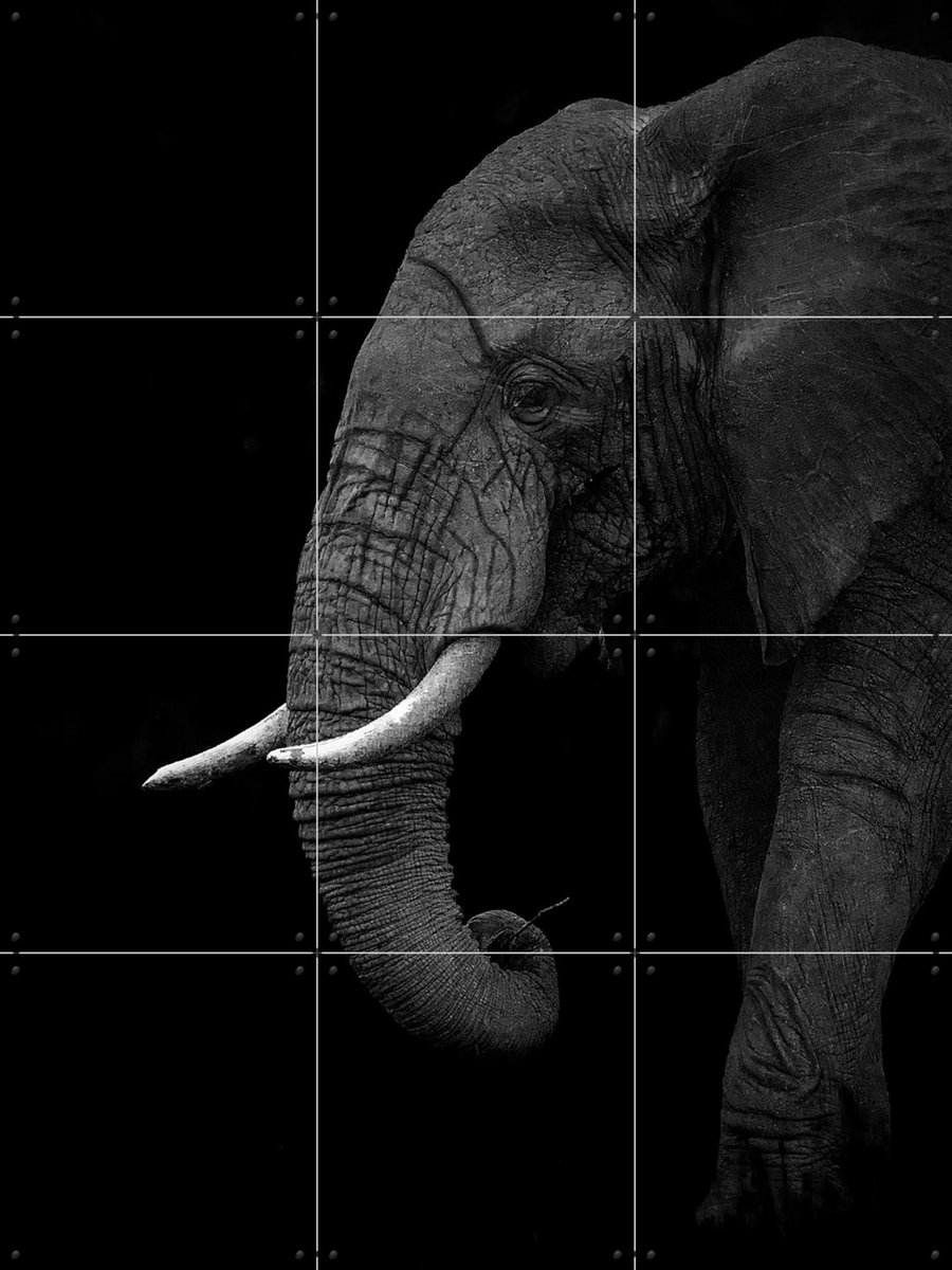 IXXI Elephant, Ahmed Sobhi & Various - 60 x 80 cm - Gratis ophangtool - Grote wanddecoratie en posters - Fotografie, Kinderkamer, Woonkamer, Kinderen