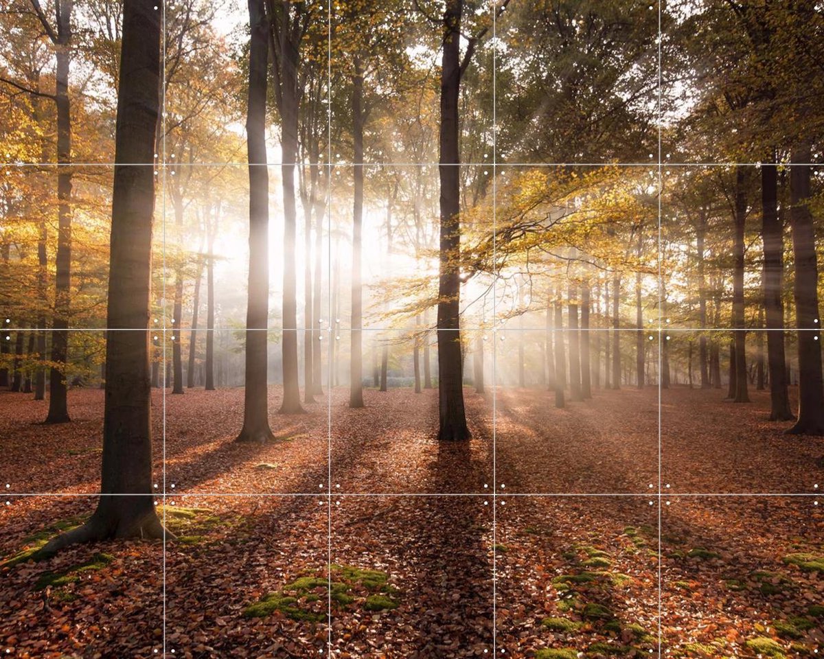 IXXI Autumn in the Forest, Claire Droppert - 100 x 80 cm - Gratis ophangtool - Grote wanddecoratie en posters - Naturalisme, Impressionisme