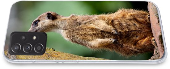 Convient pour la coque Samsung Galaxy A53 5G - Suricate - Animal - Roche - Coque de téléphone en Siliconen