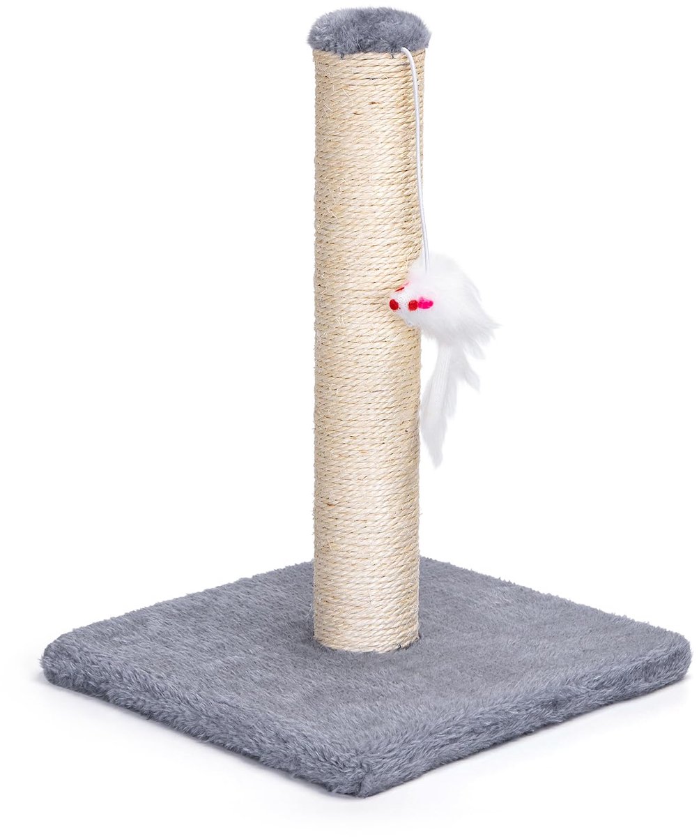 Ibenzoa® Kattenspeelboom met sisal en hangend speelgoed voor kittens en kleine katten, compact en stijlvol ontwerp