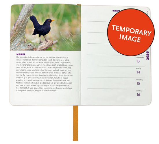 Vogel Wandkalender 2026 | Exotische Vogel Jaarkalender 12 Vogel Wandkalender 2026 | Exotische Vogel Jaarkalender 12