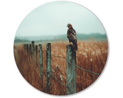 Valk op een houten paal - Vogel wandcirkel - Rond kunstwerk valk - Realisme kunststroming - Muurcirkel Forex - Woonkamer wandkunst - muurcirkel forex 50x50 cm