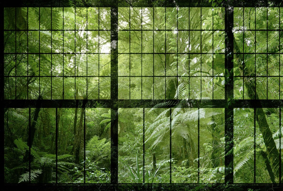 Jungle behang groen bladeren DD113742, BRICOFLOR.nl