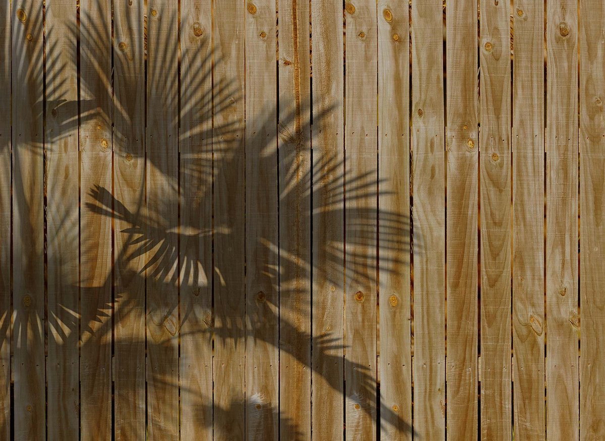 Fototapete Designwalls 2 DD123510 ShadeOfPalm1