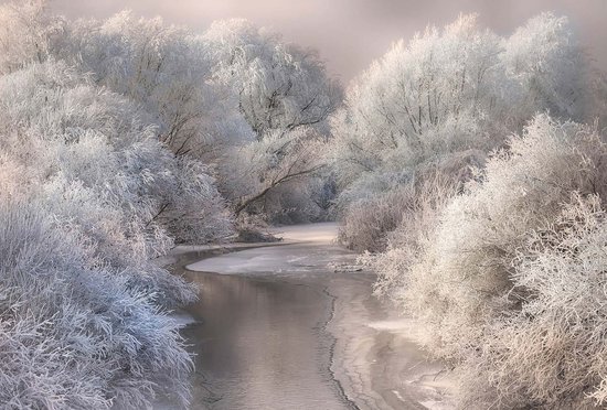 Fotobehang Frozen Forrest DD118968 A.S. Création Designwalls Groen Vlies 384 X 260 cm (8 delen) Goedkoop fotobehang