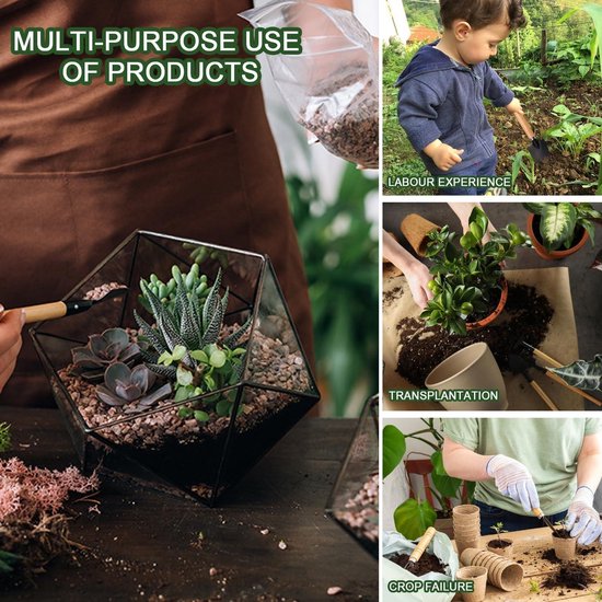 Tuinmiddelen, 6 stuks tuinredschappen, Mini tuinredschappen, Geschikt voor het losmaken van de bodem en het transplanteren van kleine potplanten, voor tuinliefhebbers van Merkloos	 — afbeelding 3