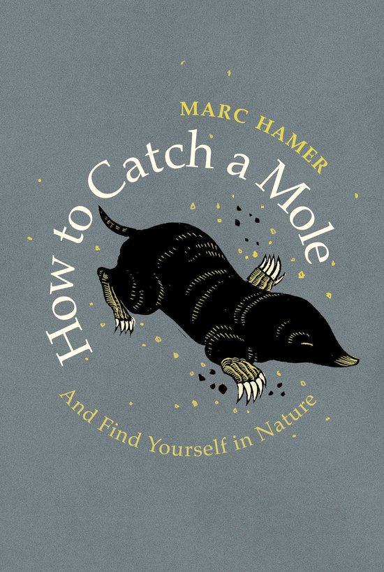 How to Catch a Mole - cover