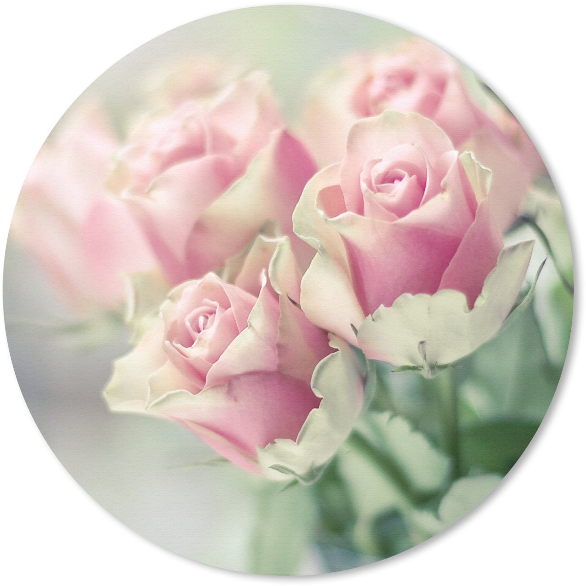 Muismat rond 40x40 cm - Mousepad Roze rozen schijnen in het felle zonlicht - Ronde muismatten
