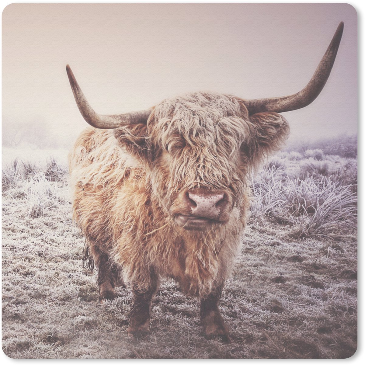 Muismat 20x20 cm - Mousepad Schotse Hooglanders - Sneeuw - Zon - Muismatten