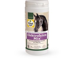 VITALstyle Elektrolyten Mix - Paarden Supplement - Dé Aanvulling Van Belangrijke Lichaamszouten - Poeder - 1 kg
