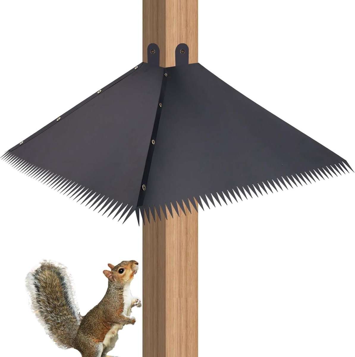 Allecto Plus - 4 stuks Gekartelde Eekhoornafschermingen PVC Vogelvoederpaal met Eekhoornbestendige Afschermingen en Shepherd's Hook voor Buiten - Vogelvoederpaal met Eekhoornbescherming opgenomen
