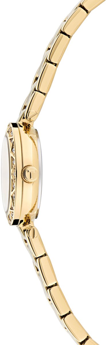 Ted Baker Jolyye Quartz Analoog Horloge Gouden Toon Kast: 100% Roestvrij Staal | Armband: 100% Roestvrij Staal 24 BKPJLS504W0, BKPJLS505W0