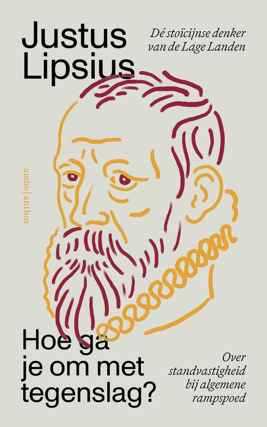 Hoe ga je om met tegenslag? - cover