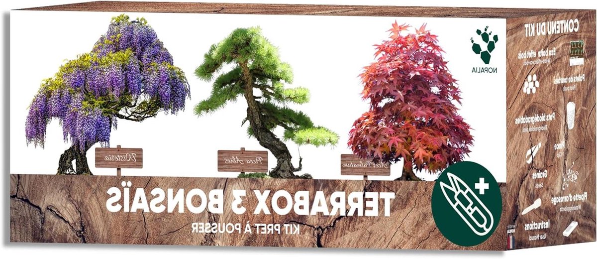 Bonsai-set klaar om te groeien 100% biologische zaden (Wisteria Acer Palmatum Picea Abies) – cadeau-idee voor zen heren en dames – Japanse mini-tuin DIY – woondecoratie – gemaakt in Frankrijk.