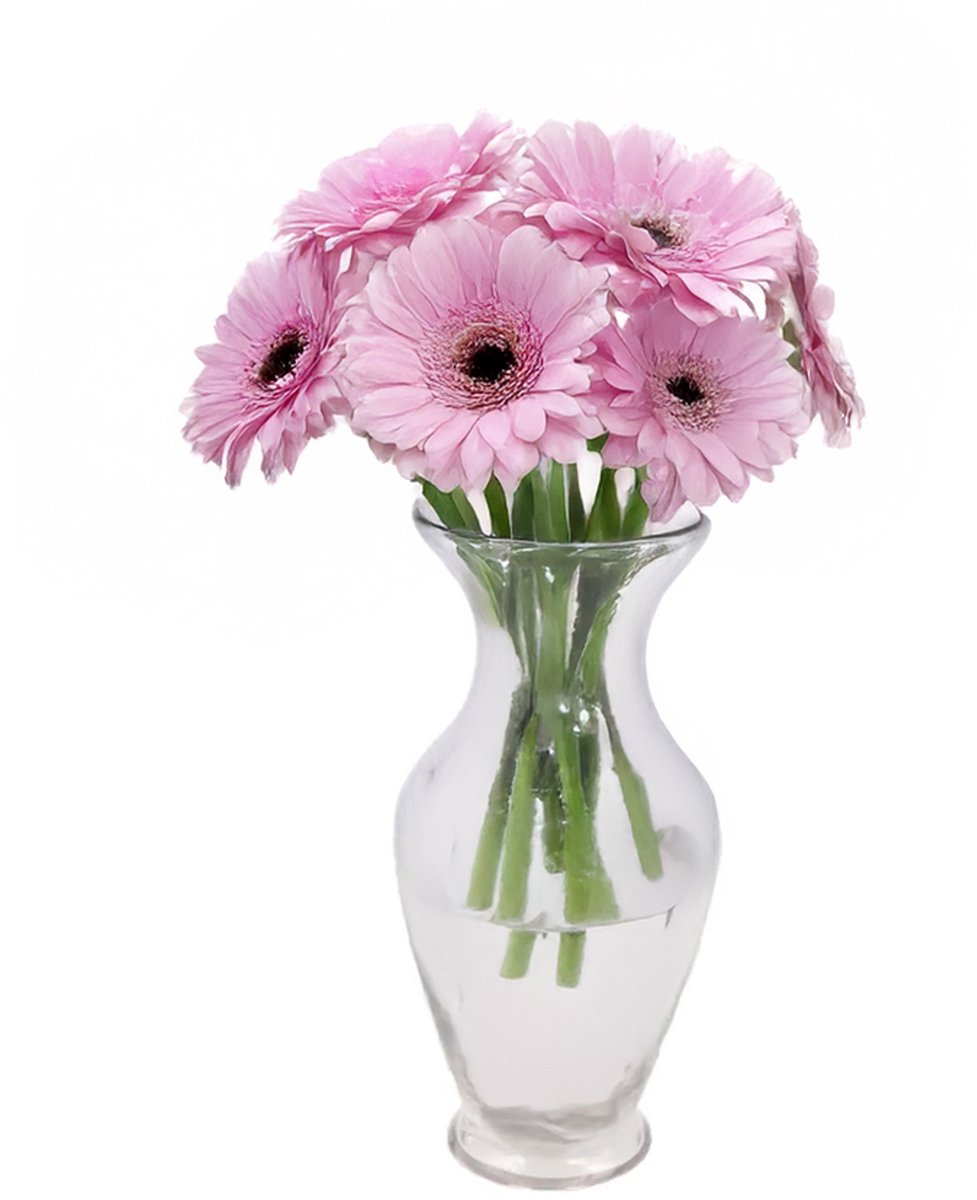 DK Design Bloemenvaas Mira - trompet vaas model - transparant glas - 18 x 37 cm - boeketvazen