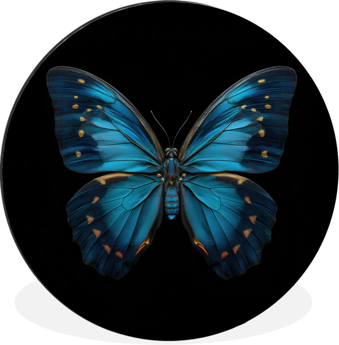 WallCircle Wandcirkel - Muurcirkel - Vlinder - Blauw - Contrast - Aluminium - Dibond - 60x60 cm - Binnen en Buiten
