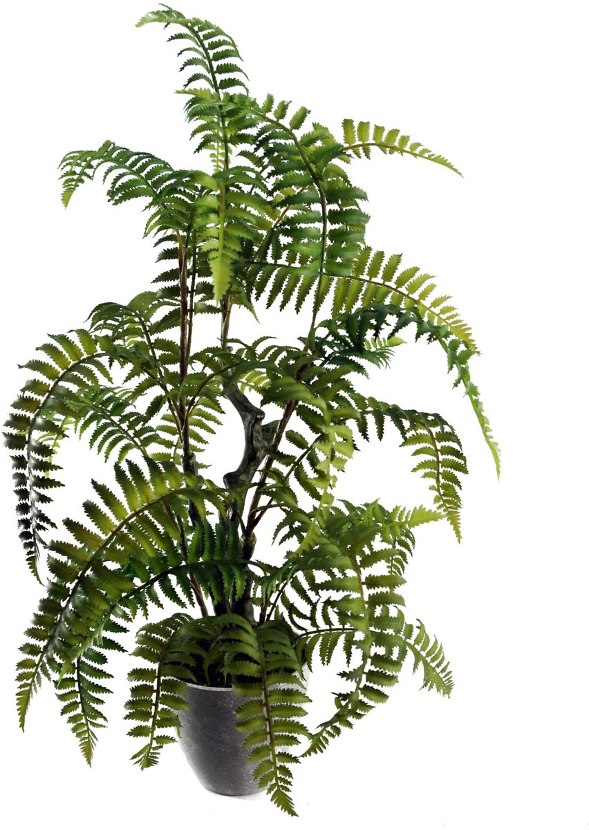 Kunstmatige realistische, natuurlijke look mosvaren in pot
