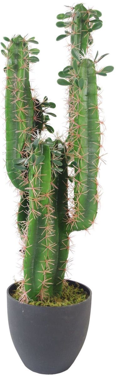 Blad Kunstcactus, met pot, 75 cm