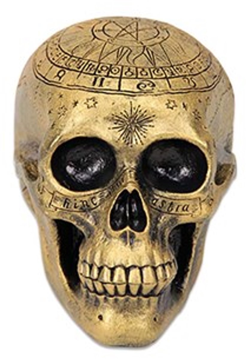 Schedel luxe goud | Halloween | Griezel