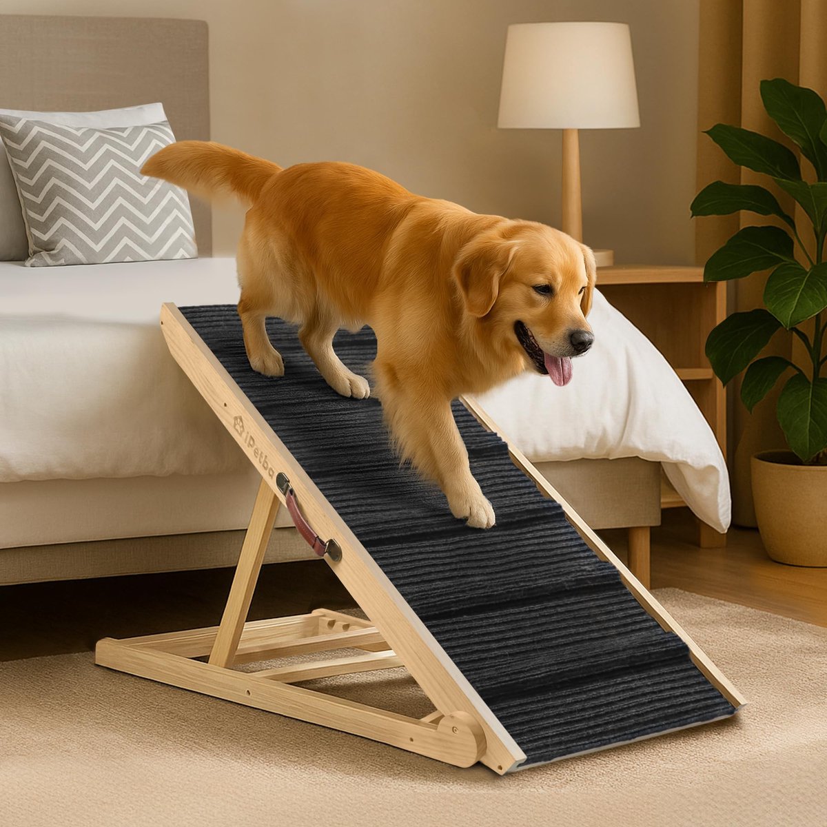 Hondenloopplank voor Bed - Stabiel & Gewrichtsvriendelijk - Grote Honden tot 90 kg