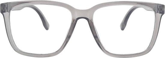 Ear2Ear 21710 Leesbril Newton - sterkte +2.50 - transparant grijs