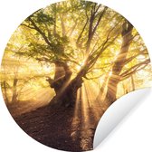 WallCircle - Stickers muraux - Cercle de papier peint - Arbre - Forêt - Soleil - 120x120 cm - Cercle mural - Autocollant - Autocollant de papier peint rond XXL