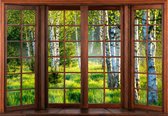 Papier peint photo peint intissé - Forêt de bouleaux vue fenêtre 3D - Bouleau - Forêt - 208 x 146 cm