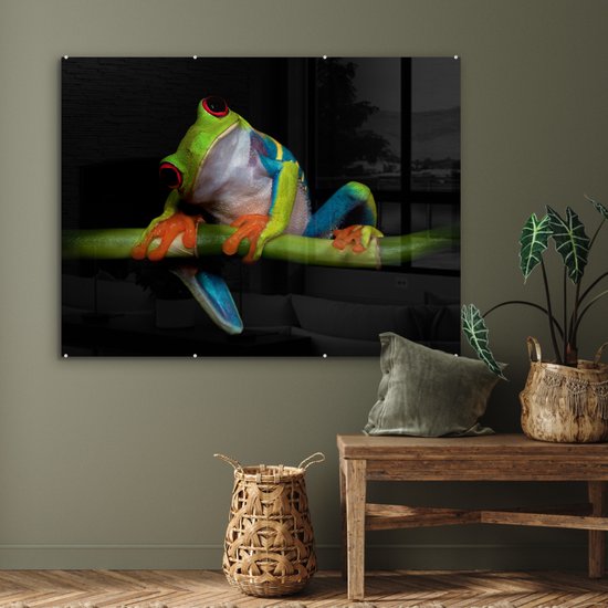 Peinture sur verre - Grenouille - Animaux - Vert - Oranje - Rouge - Photo sur verre - Peinture sur verre - 120x90 cm - Décoration murale