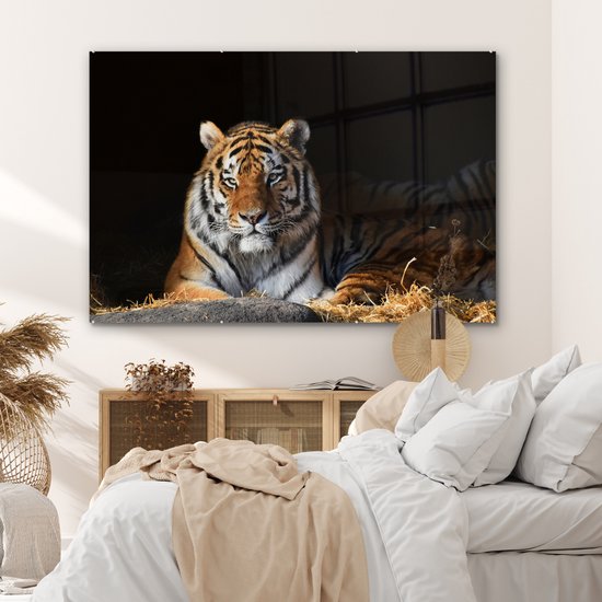 MuchoWow® Peinture sur verre 180x120 cm - Peinture sur verre acrylique - Tigre - Paille - Ombre - Photo sur verre - Peintures