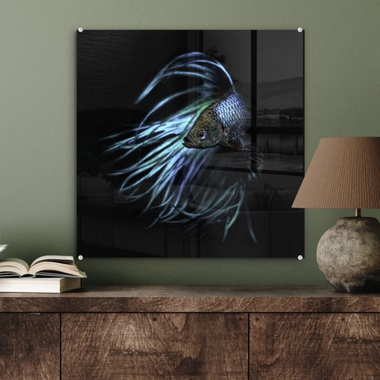 MuchoWow® Peinture sur verre 50x50 cm - Peinture acrylique sur verre - Poissons - Animaux aquatiques - Blauw - Zwart - Photo sur verre - Peintures
