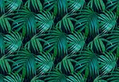 Photo Wallpaper King - Papier peint Papier peint photo - Papier peint feuilles - Tropical - Botanique - 416 x 254 cm - Papier peint non tissé peint intissé