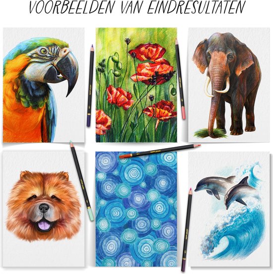 Craft Sensations Professionele Kleurpotloden Koffer 68-Delig - Kleurpotloden Voor Volwassenen - Hoogwaardige Pigmenten - Stijlvolle Opbergkoffer - Fijne Punt - Zachte Textuur - Perfecte Kleurafgifte - Cadeau Voor Tekenliefhebbers