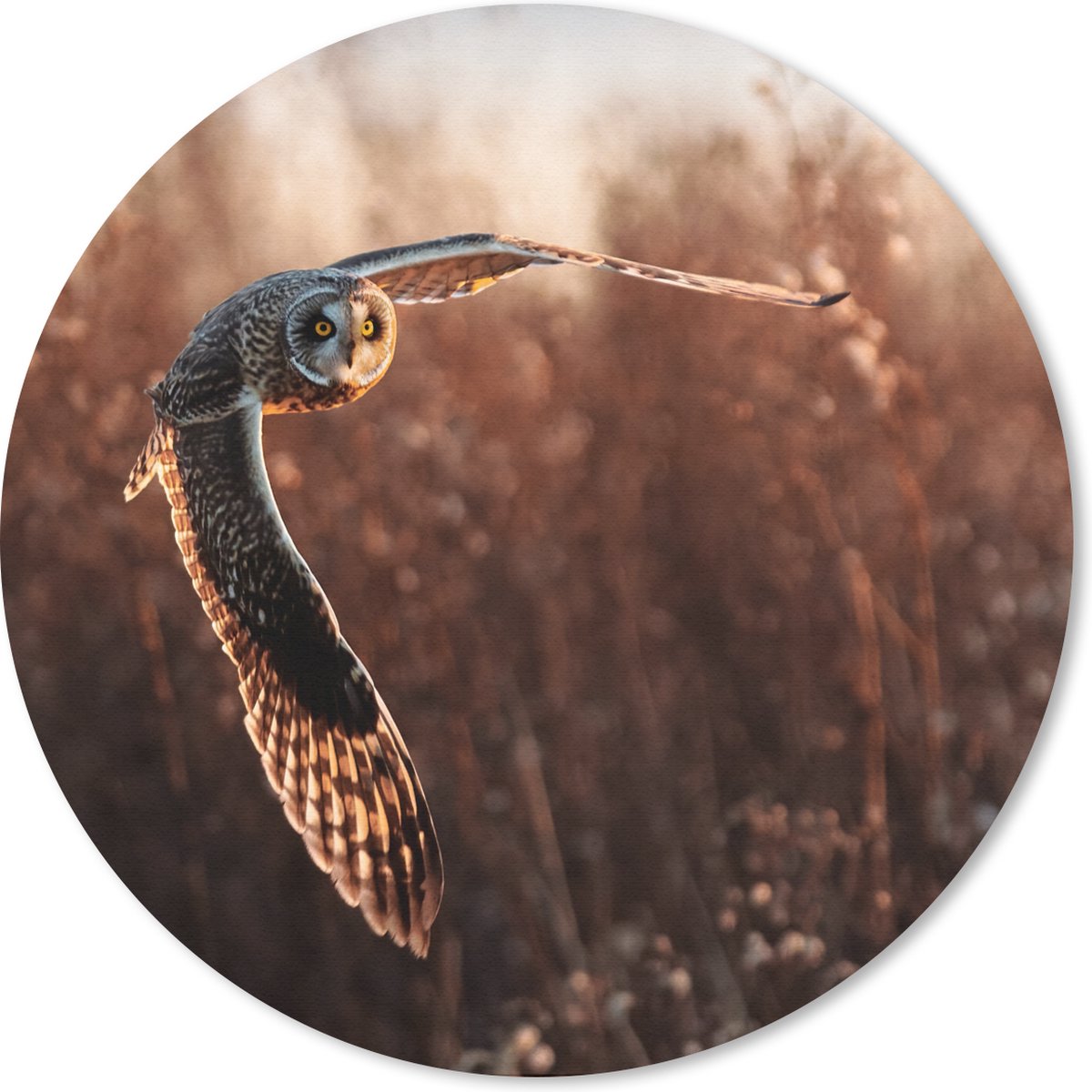 Muismat rond 30x30 cm - Mousepad Vogel - Uil - Zonsondergang - Natuur - Ronde muismatten