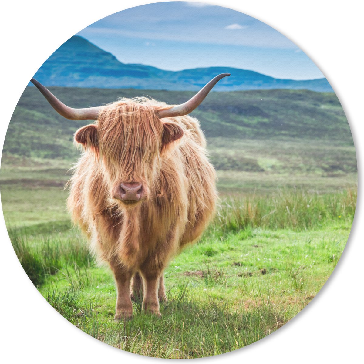 Muismat rond 40x40 cm - Mousepad Schotse hooglander - Koe - Natuur - Berg - Gras - Ronde muismatten