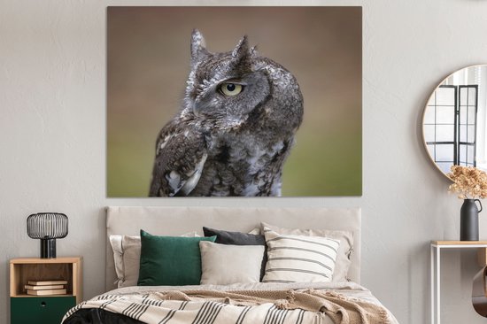 Gros plan d'un petit hibou sur toile 160x120 cm - Tirage photo sur toile (Décoration murale salon / chambre) XXL / Groot format!