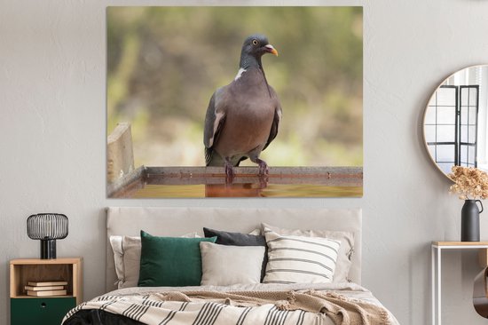 Pigeon ramier teinté rouge au bord de l'eau en Espagne Toile 160x120 cm - Tirage photo sur Toile (Décoration murale salon / chambre) XXL / Groot format!