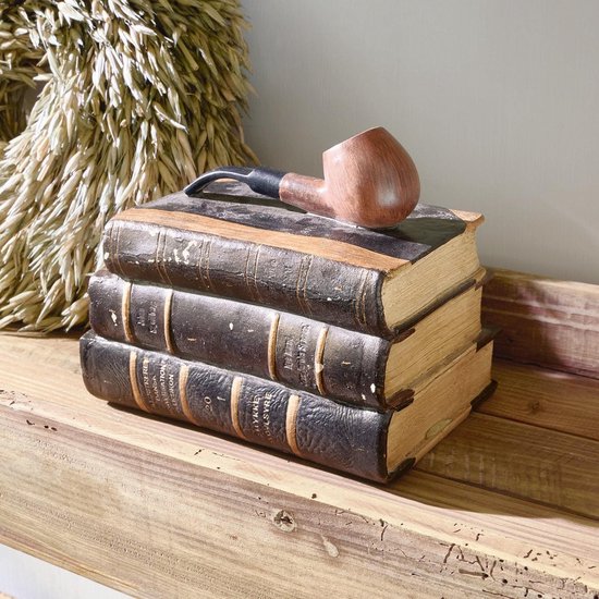 LOBERON Decoratieve boeken Rakeem bruin | bol.com