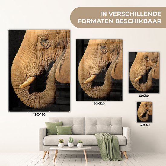 MuchoWow® Peinture sur verre 90x120 cm - Peinture sur verre acrylique - Éléphant - Animaux - Gros plan - Zwart - Photo sur verre - Peintures