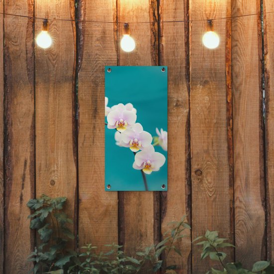 Poster de jardin Orchidée - Fleurs - Plante - Wit - Violet - 30x60 cm - Toile jardin - Poster extérieur