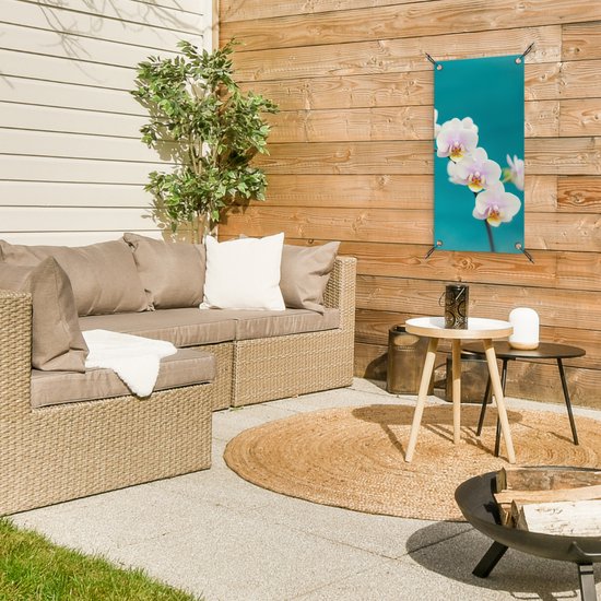 Poster de jardin Orchidée - Fleurs - Plante - Wit - Violet - 30x60 cm - Toile jardin - Poster extérieur