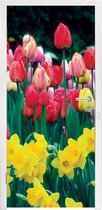 Deursticker Lente - Tulpen - Narcissen - 90x215 cm - Deurposter