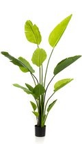 Kunstplant - Strelitzia Nicolai - Paradijsvogelbloem - 150 cm