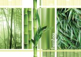 Fotobehang - Vlies Behang - Bamboe Collage - 416 x 254 cm