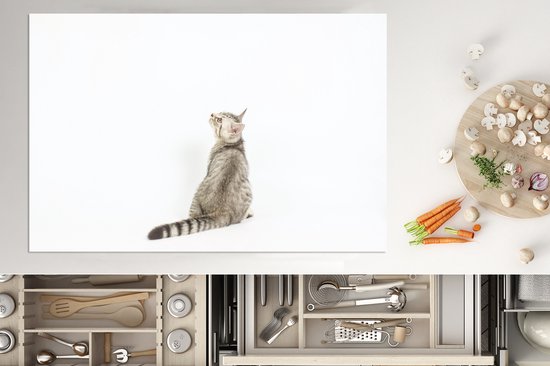 KitchenYeah® Inductie beschermer 78x52 cm - Kat - Huisdieren - Vacht - Kookplaataccessoires - Afdekplaat voor kookplaat - Inductiebeschermer - Inductiemat - Inductieplaat mat