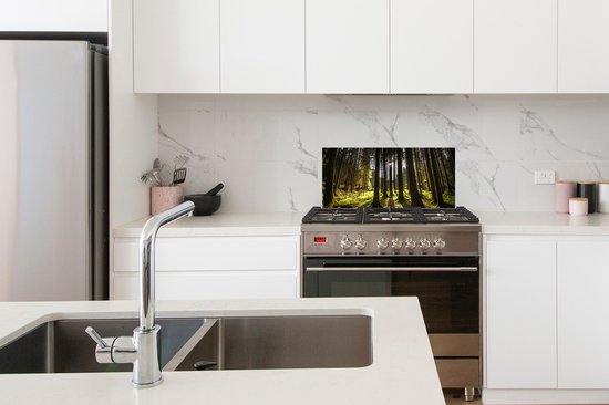 Spatscherm keuken 60x30 cm - Kookplaat achterwand Boom - Natuur - Zon - Bos - Muurbeschermer - Spatwand fornuis - Hoogwaardig aluminium