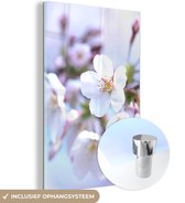 MuchoWow® Glasschilderij 80x120 cm - Schilderij acrylglas - Bloemen - Sakura - Tak - Bloesem takken - Foto op glas - Schilderijen