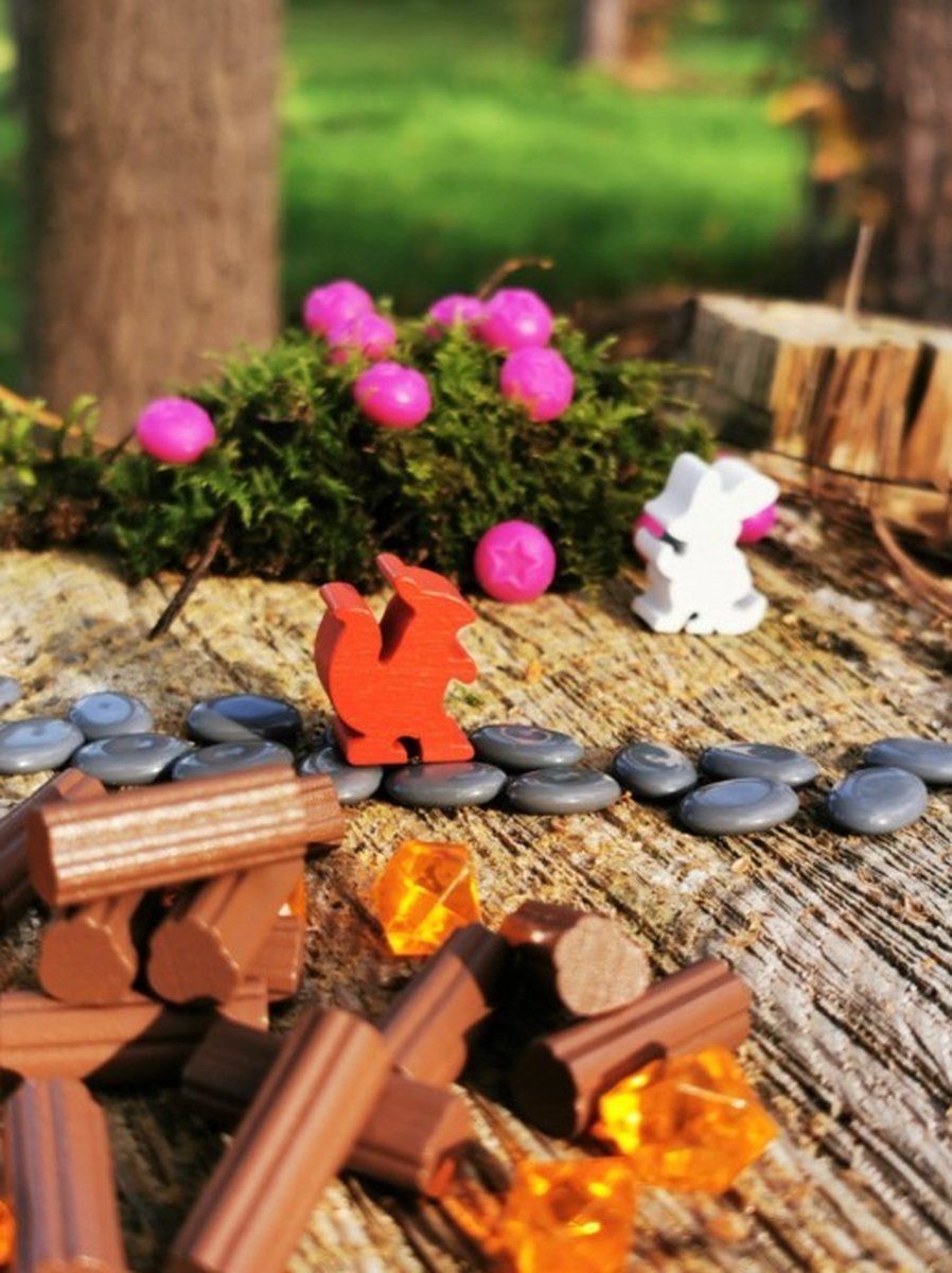 White Goblin Games - Everdell - familiespel - 1 tot 4 spelers - 60 minuten - Vanaf 10 jaar — afbeelding 18
