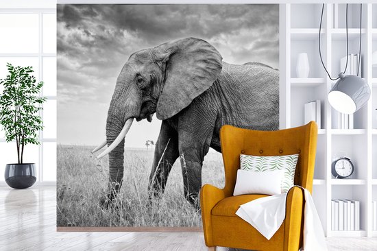 Behang - Fotobehang Olifant op de vlakte in zwart-wit - Breedte 350 cm x hoogte 350 cm