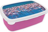 Broodtrommel Roze - Lunchbox - Brooddoos - Flamingo - Water - Tropisch - Water - Roze - 18x12x6 cm - Kinderen - Meisje