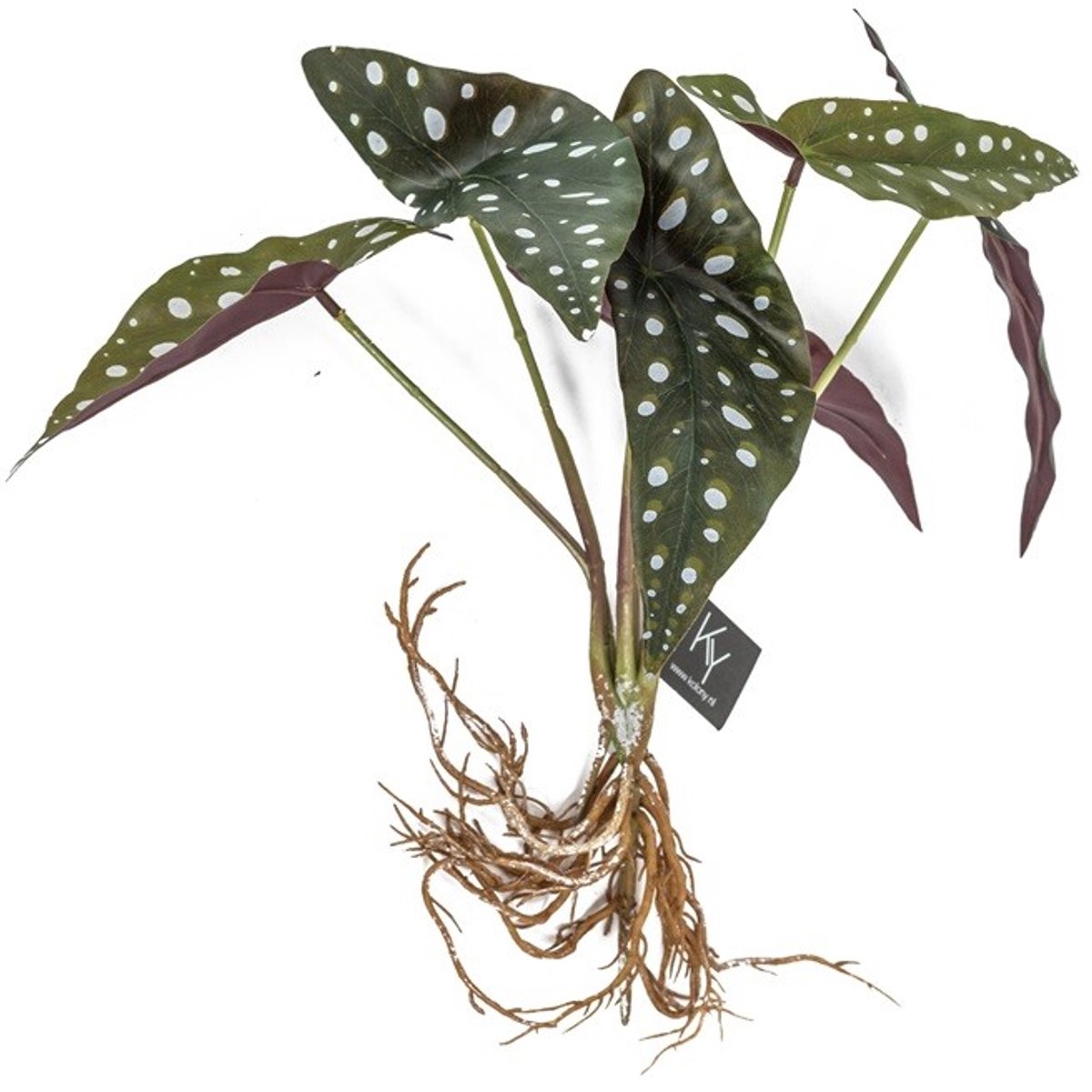 Stippenplant kunst